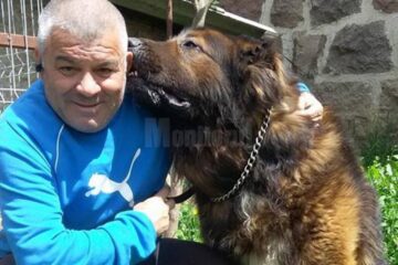 Marin Barbu, aflat în izolare la Sfântu Gheorghe, jucându-se cu câinele său