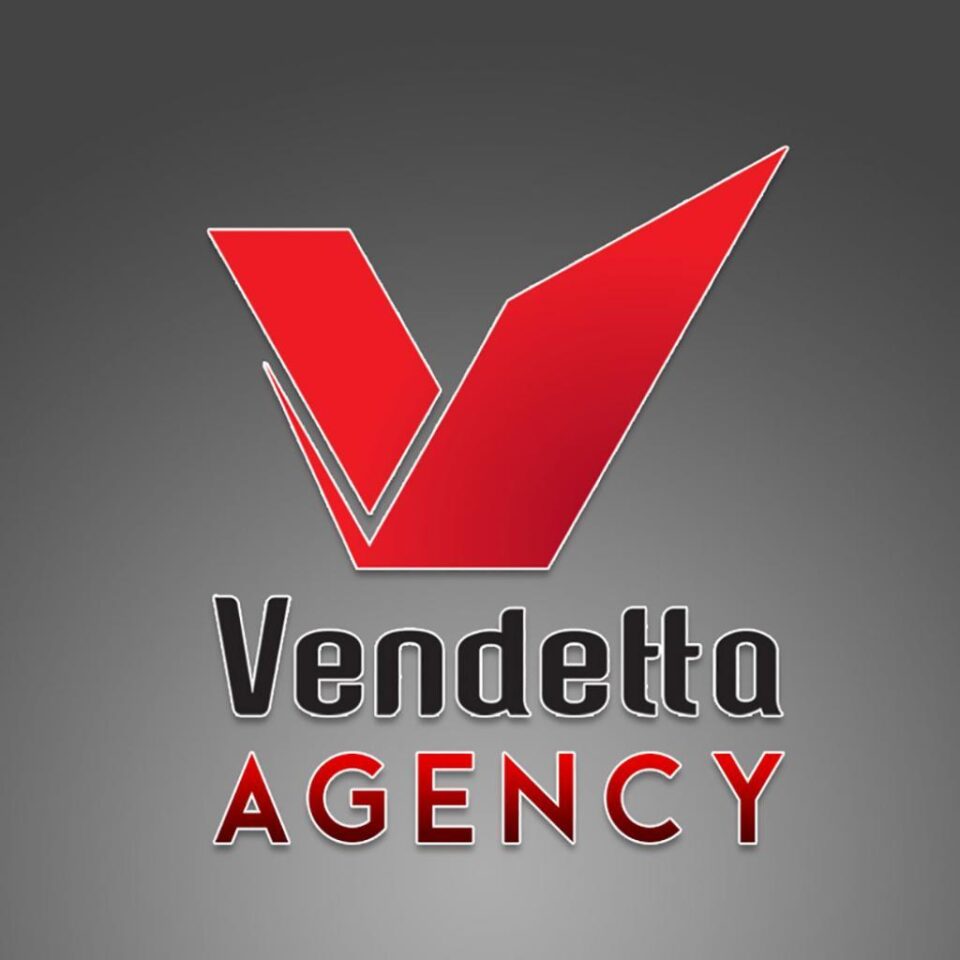 Logistică și suport pentru cei care vor să-și desfășoare activitatea online, oferite de Societatea Vendetta Protocol SRL