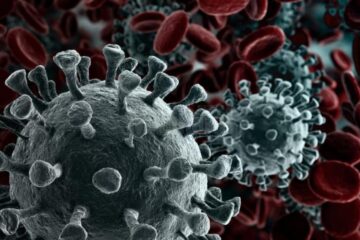 Doar 14 cazuri noi de coronavirus înregistrate în județul Suceava în ultimele 24 de ore