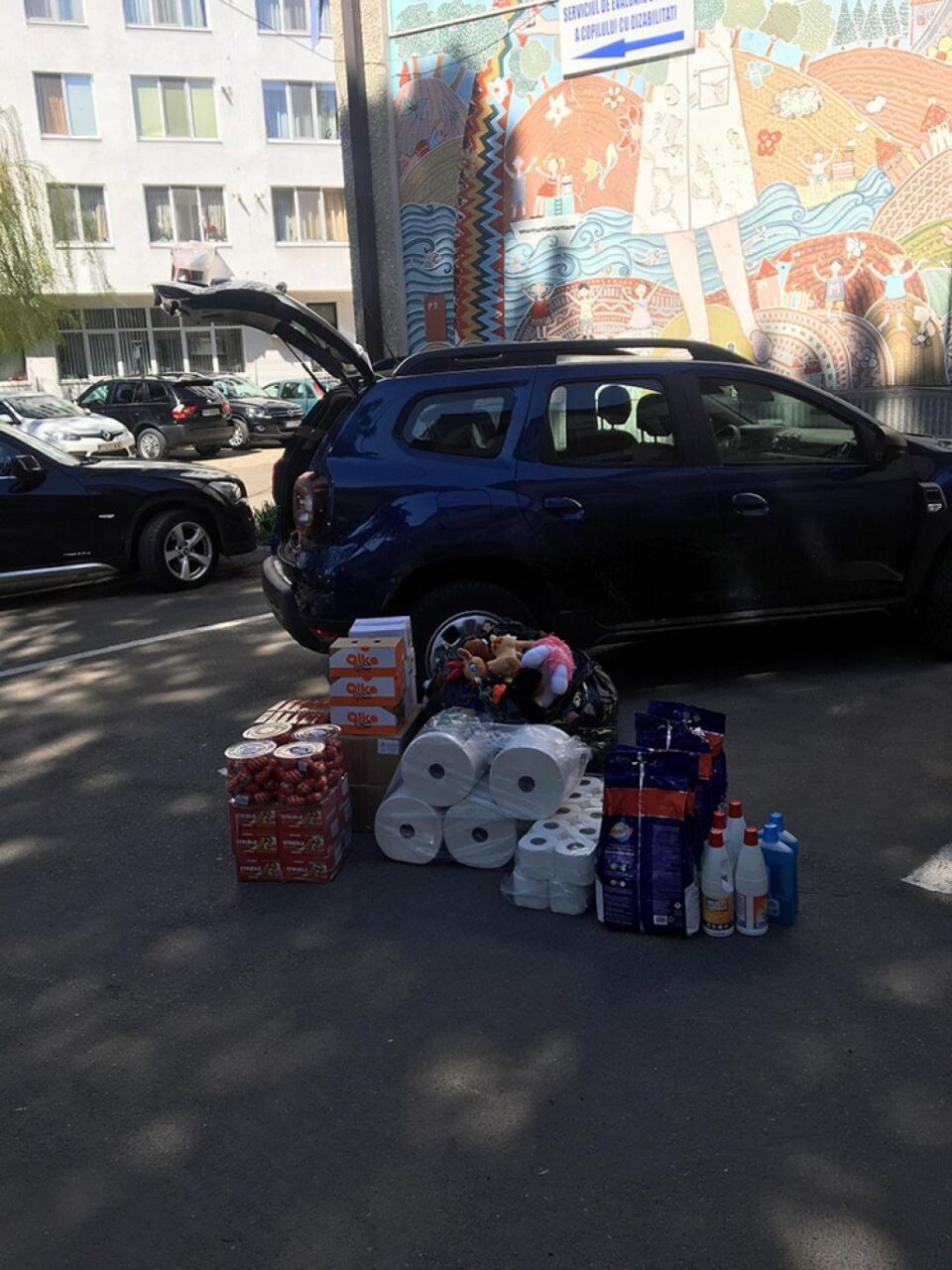 Produse de curățenie și multe dulciuri au ajuns la zeci de copii din centre de plasament, la inițiativa Asociației „Euroactiv”