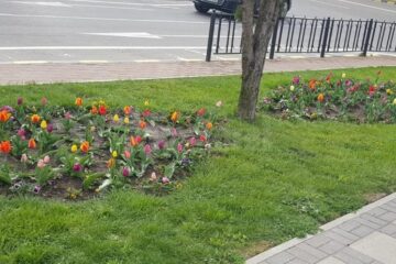 Suceava pregătită pentru normalitate