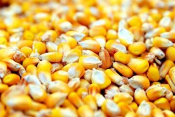 Prețul principalelor produse agricole crește de la o zi la alta, iar unele nici nu se mai găsesc pe piață