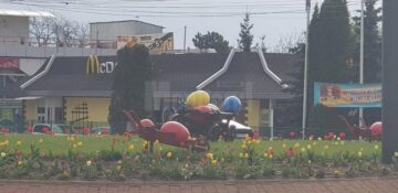 Marian Andronache: "Acolo unde înfloresc florile există încă speranță!"