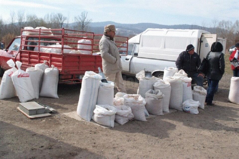 Târg de produse agricole