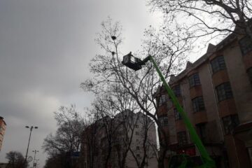 Distrugerea cuiburilor de ciori se face cu ajutorul unui utilaj special, cu nacelă