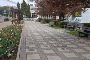 Suceava pregătită pentru normalitate - fântânile arteziene sunt funcționale, se plantează flori, se gazonează, se cosește iarba