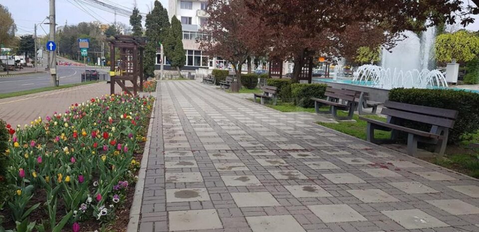 Suceava pregătită pentru normalitate - fântânile arteziene sunt funcționale, se plantează flori, se gazonează, se cosește iarba