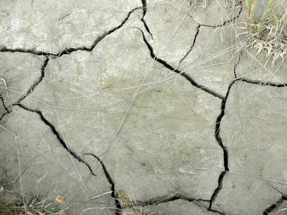 Fără harul lui Dumnezeu, suntem asemenea pământului neroditor