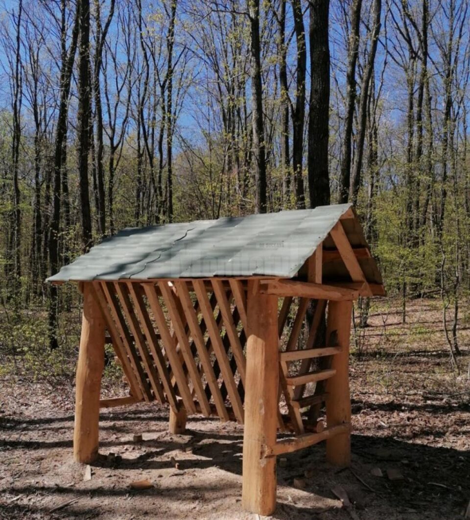 Hrănitorile pentru animalele pădurii, refăcute de Direcția Silvică Suceava Hrănitorile pentru animalele pădurii, refăcute de Direcția Silvică Suceava