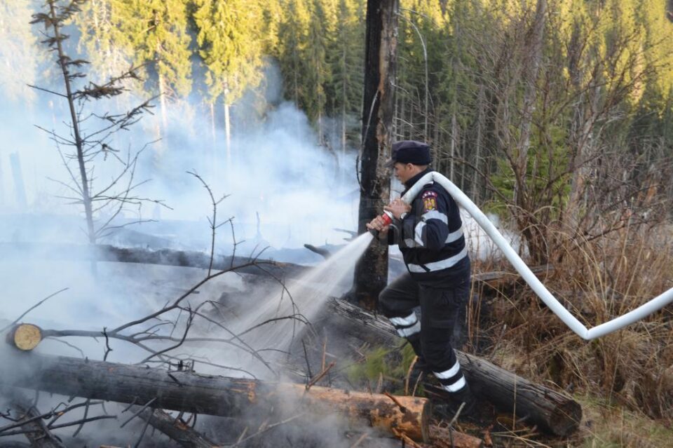 În jur de 200 de oameni au muncit la stingerea a șase incendii care amenințau pădurea
