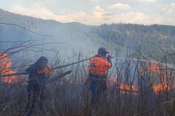 În jur de 200 de oameni au muncit la stingerea a șase incendii care amenințau pădurea