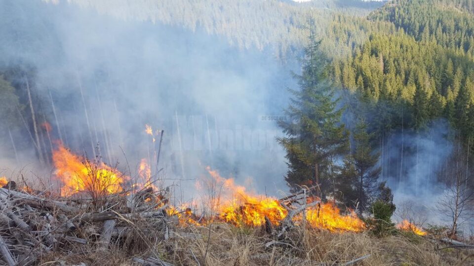 În jur de 200 de oameni au muncit la stingerea a șase incendii care amenințau pădurea