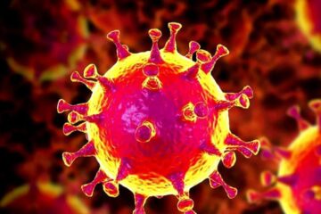 Coronavirus. Foto: libertatea.ro