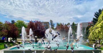 1 Mai diferit la Suceava, pe timp de pandemie