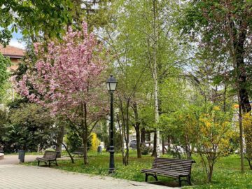 1 Mai diferit la Suceava, pe timp de pandemie