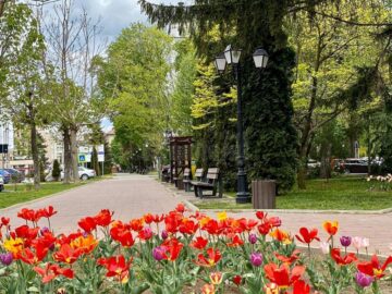1 Mai diferit la Suceava, pe timp de pandemie