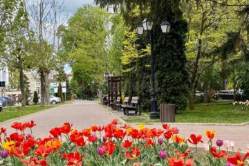 1 Mai diferit la Suceava, pe timp de pandemie
