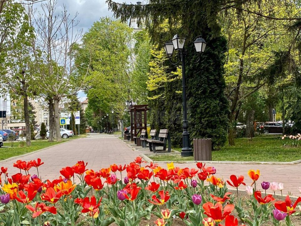 1 Mai diferit la Suceava, pe timp de pandemie