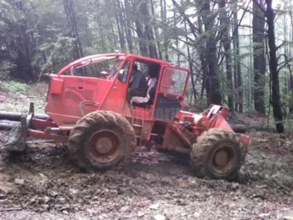 A murit după ce a fost călcat de un TAF în timp ce fura arbori împreună cu un amic A murit după ce a fost călcat de un TAF în timp ce fura arbori împreună cu un amic