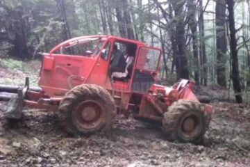 A murit după ce a fost călcat de un TAF în timp ce fura arbori împreună cu un amic
