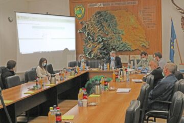 Cum se desfășoară o licitație de masă lemnoasă, cu plic închis, la Direcția Silvică Suceava, pe timp de pandemie