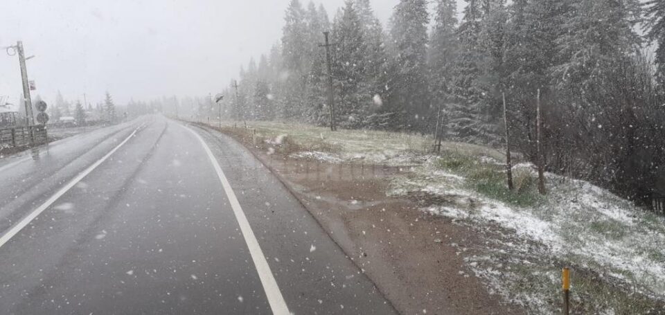 Ninsoare și carosabil umed, în Pasul Tihuța