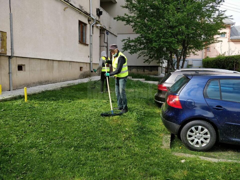 Activitatea de întreținere a spațiilor verzi din municipiul Suceava a fost reluată de luni, 4 mai