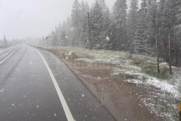 Ninsoare și carosabil umed, în Pasul Tihuța