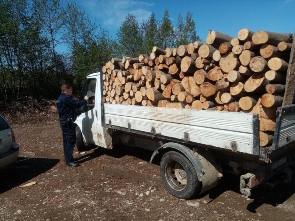 O camionetă plină cu lemn de fag, depistată la Sucevița fără acte legale