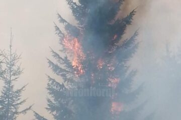 Imagini impresionante, cu brazi care ard în picioare, ca lumânările, mult fum și oameni plini de funingine și sudoare, arată efortul depus pentru stingerea incendiului