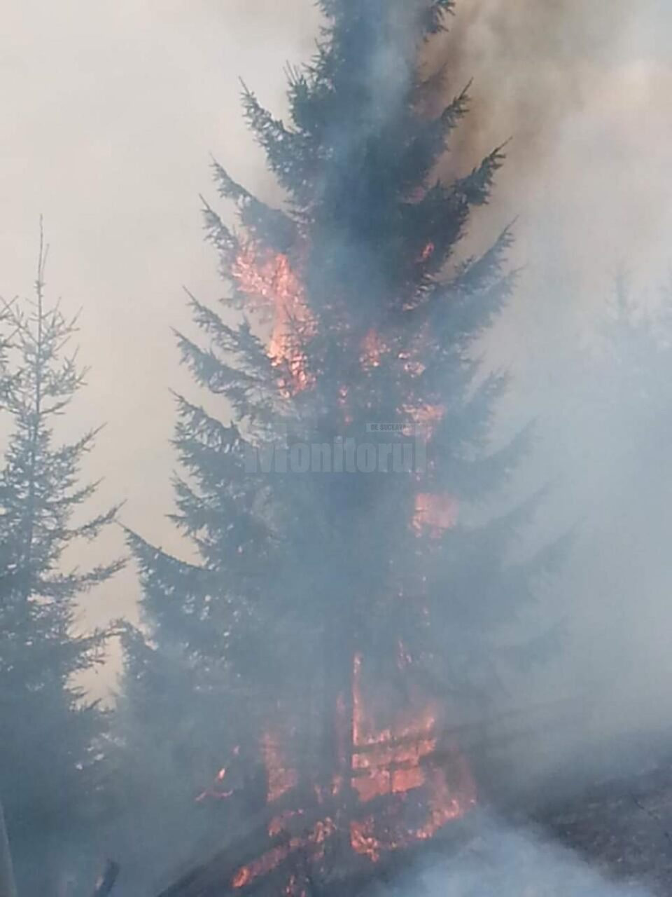 Imagini impresionante, cu brazi care ard în picioare, ca lumânările, mult fum și oameni plini de funingine și sudoare, arată efortul depus pentru stingerea incendiului