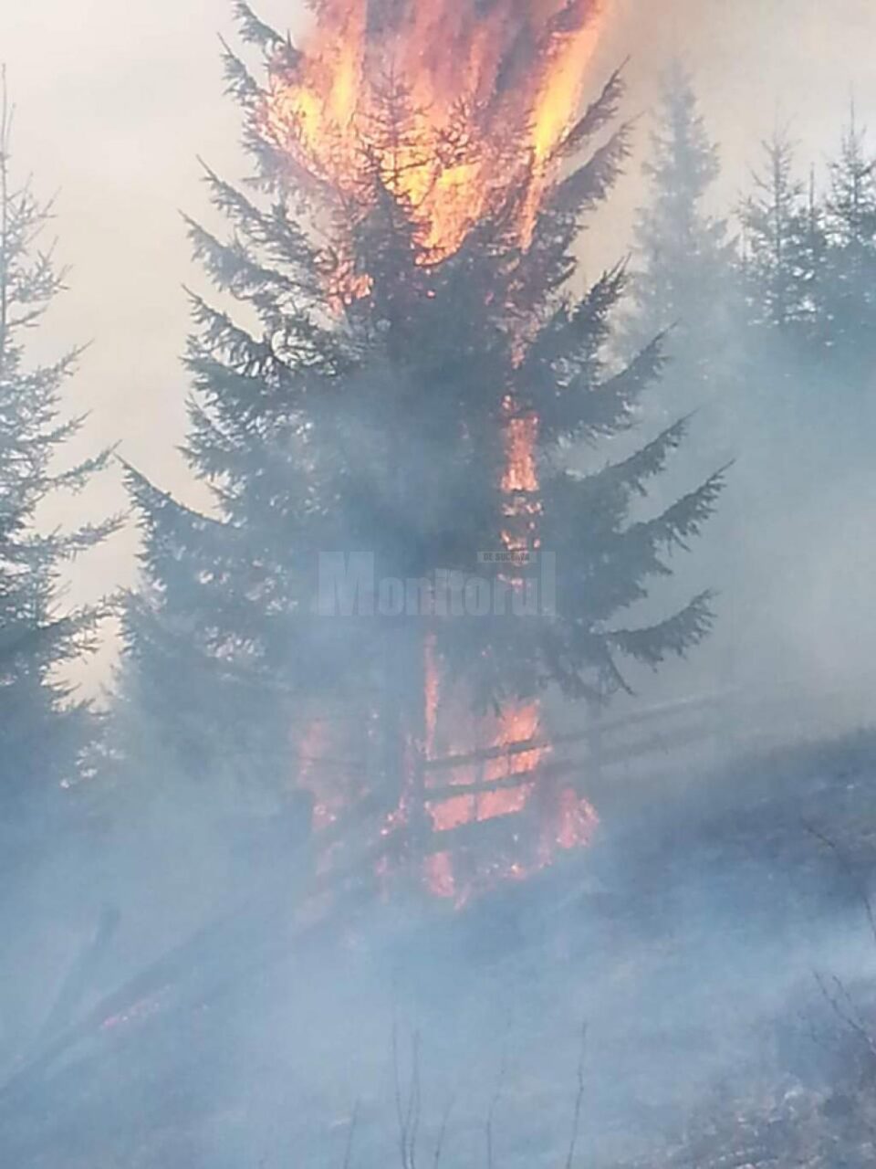 Imagini impresionante, cu brazi care ard în picioare, ca lumânările, mult fum și oameni plini de funingine și sudoare, arată efortul depus pentru stingerea incendiului