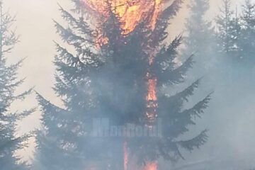 Imagini impresionante, cu brazi care ard în picioare, ca lumânările, mult fum și oameni plini de funingine și sudoare, arată efortul depus pentru stingerea incendiului