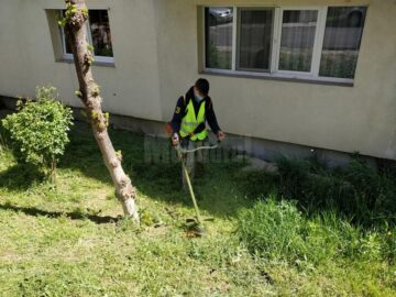 Diasil a investit în echipamente și în oameni pentru a rămâne pe baricade împotriva noului coronavirus