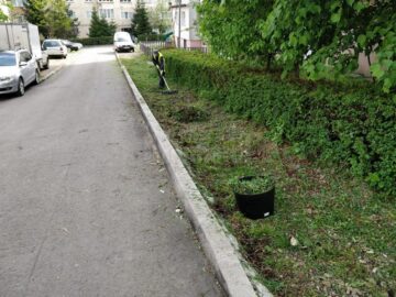 Diasil a investit în echipamente și în oameni pentru a rămâne pe baricade împotriva noului coronavirus