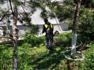 Diasil a investit în echipamente și în oameni pentru a rămâne pe baricade împotriva noului coronavirus