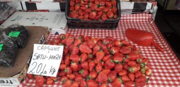 A înnebunit lumea: cireșe la 60-70 lei/kg