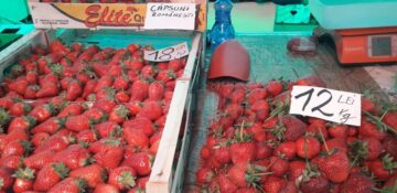 A înnebunit lumea: cireșe la 60-70 lei/kg