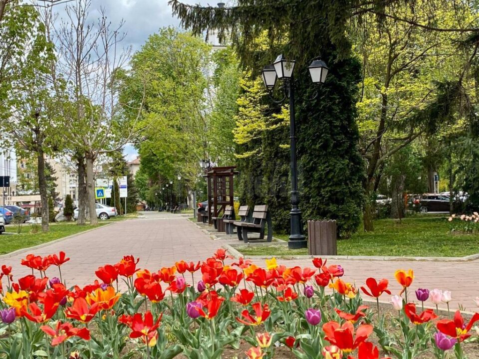 Parcurile și zona de agrement Tătărași, deschise publicului, imediat după încetarea carantinei