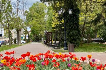 Parcurile și zona de agrement Tătărași, deschise publicului, imediat după încetarea carantinei