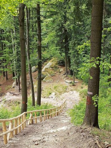 La Gura Humorului se finalizează amenajarea a două trasee turistice și a unui spectaculos foișor de observare cu șase etaje