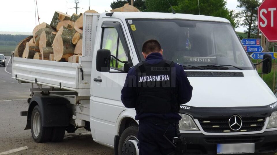 jandarmi lemn confiscat