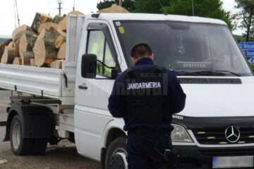 jandarmi lemn confiscat