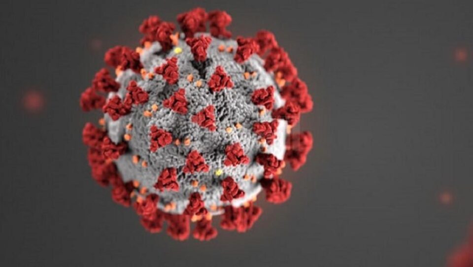 Județul Suceava a depășit cifra de 3.400 de persoane infectate cu noul coronavirus. 22 de cazuri noi în ultimele 24 de ore Județul Suceava a depășit cifra de 3.400 de persoane infectate cu noul coronavirus. 22 de cazuri noi în ultimele 24 de ore