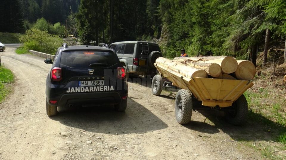 jandarmi lemn confiscat2