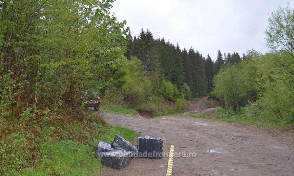 Aproape 2.000 de pachete de țigări de contrabandă, „răsărite” în vegetația de la frontieră