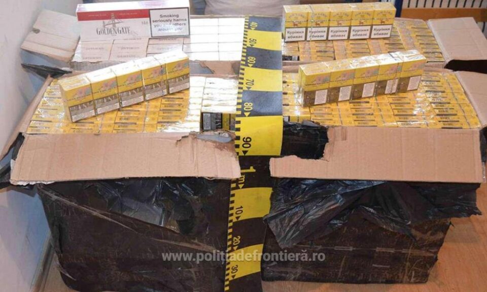 Aproape 2.000 de pachete de țigări de contrabandă, „răsărite” în vegetația de la frontieră