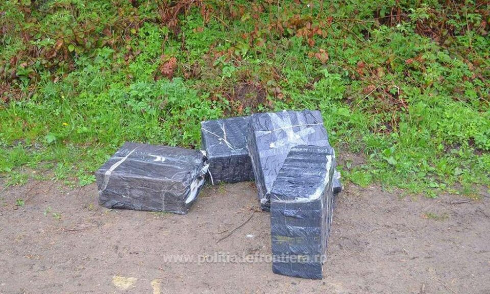 Aproape 2.000 de pachete de țigări de contrabandă, „răsărite” în vegetația de la frontieră