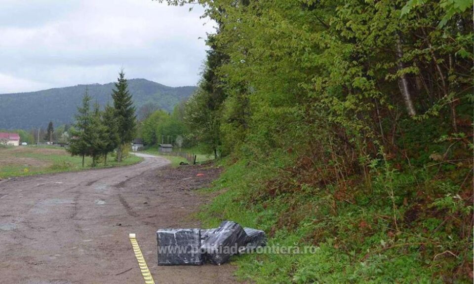 Aproape 2.000 de pachete de țigări de contrabandă, „răsărite” în vegetația de la frontieră