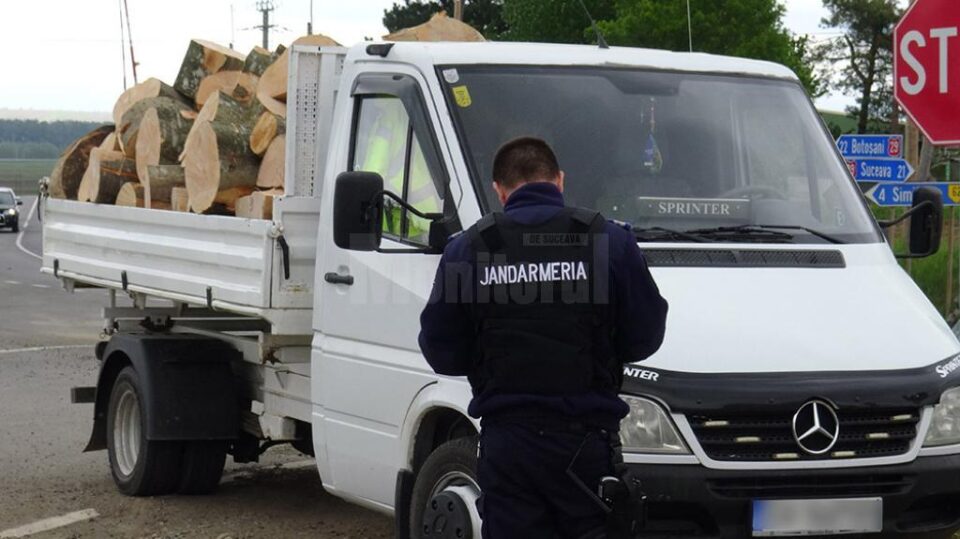 Transporturi ilegale de material lemnos, interceptate de echipaje de jandarmi